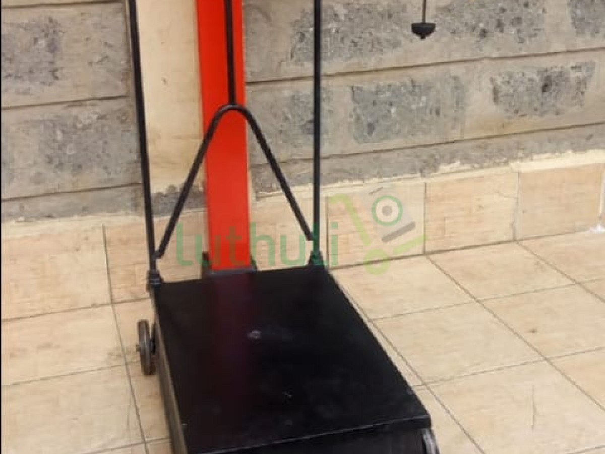 250kgs manual weighing scale.