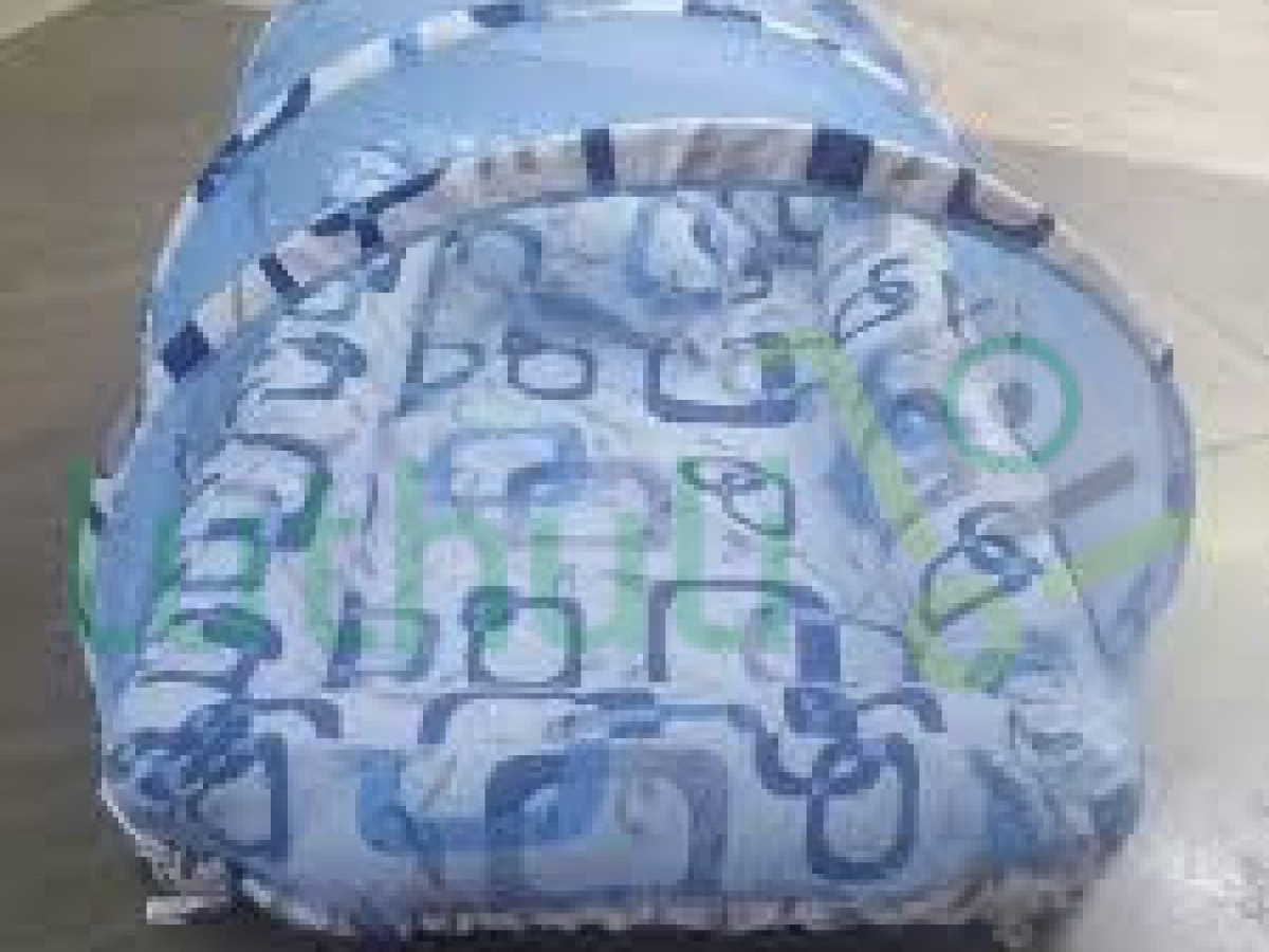 Baby Co Sleeper with Net & Pillow