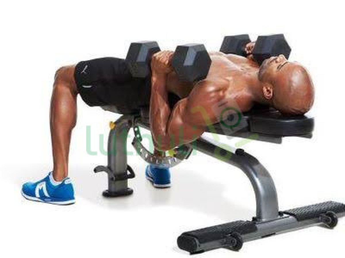Dumbbell Bench Press for Home Gym