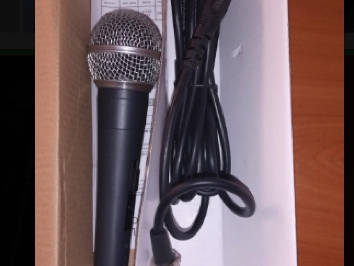 Professional Stage Performance Microphone