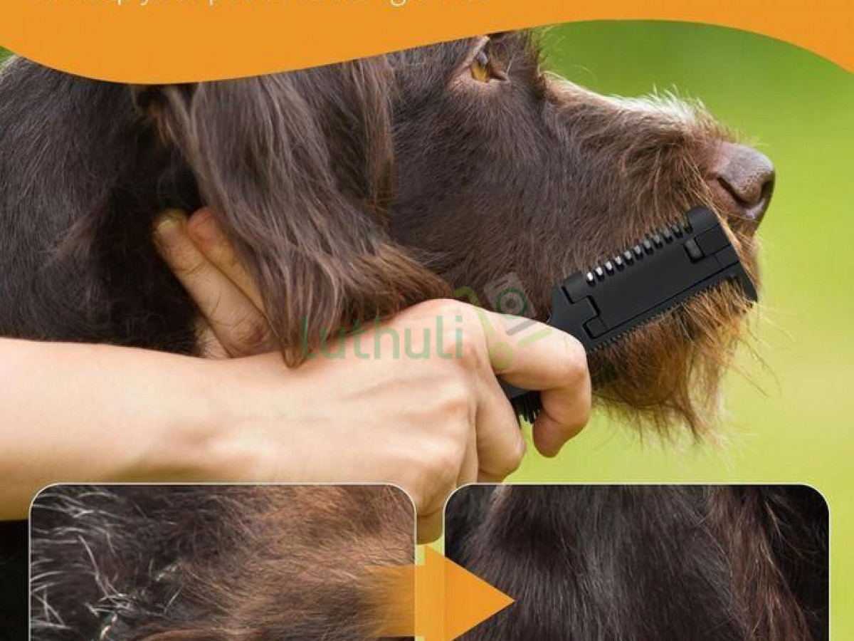 2-in-1 Pet Grooming Comb