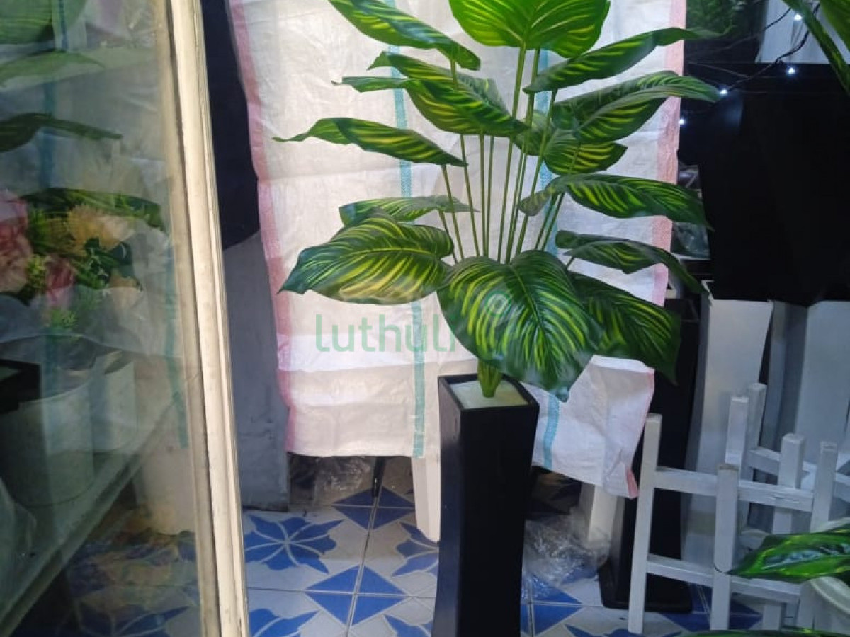 Artificial zebra plant-With a unique vase