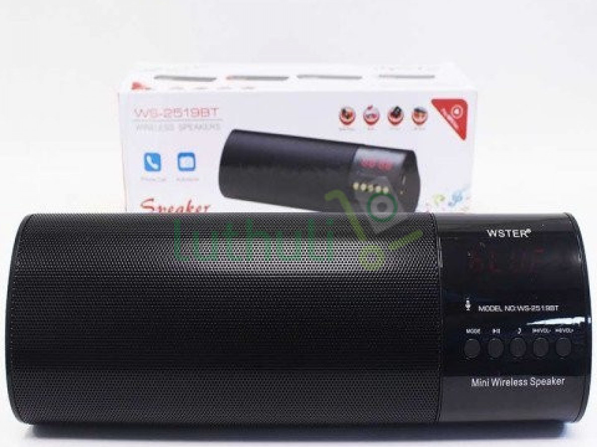WSTER Bluetooth Speaker With FM Radio/USB