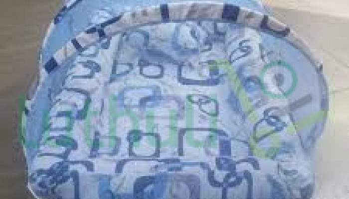 Baby Co Sleeper with Net & Pillow