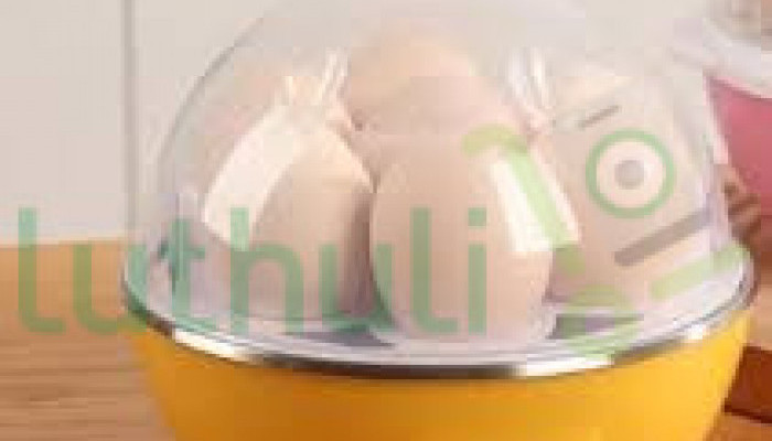 Egg Boiler Kenya – Automatic Electric Egg Cooker Online
