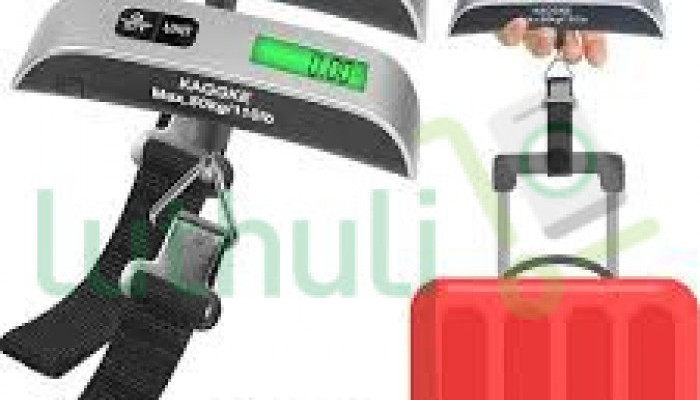 Portable Digital Luggage Weight Scale for Travel