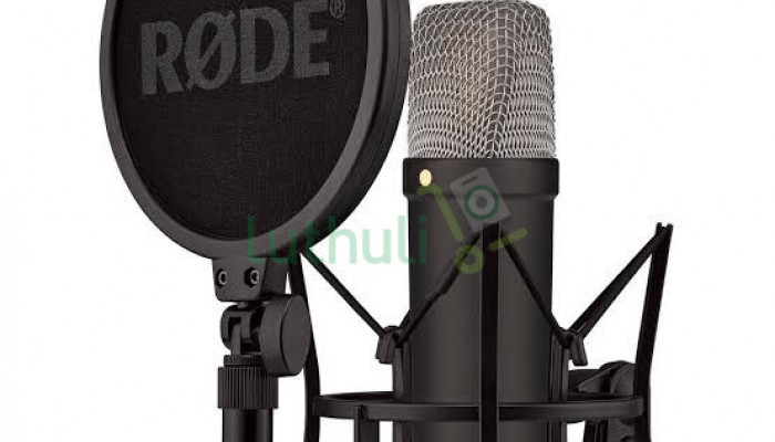 Professional Condenser Microphone for Recording & Vocals