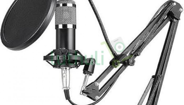 Professional Condenser Microphone for Recording & Vocals