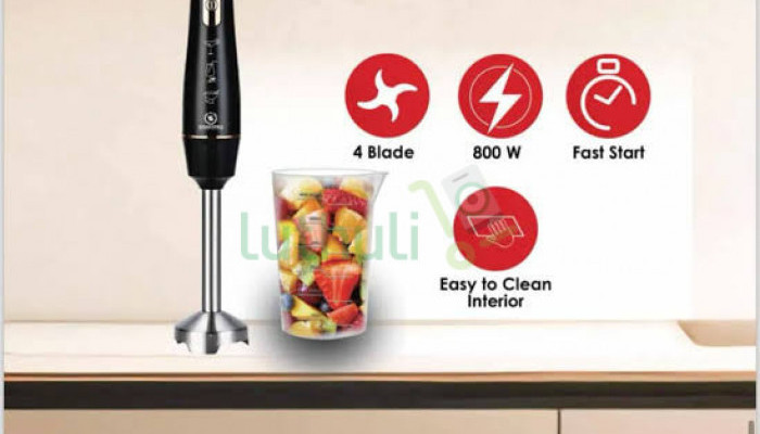 Smart Pro SHB-313 Fast Start Hand Blender – 1000W