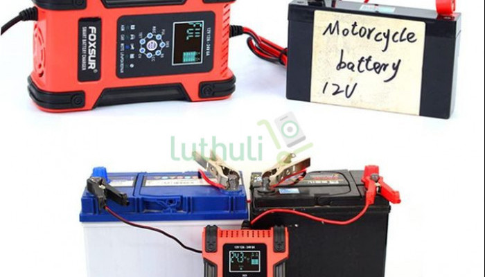 Automatic Smart 12V 24V Battery Charger