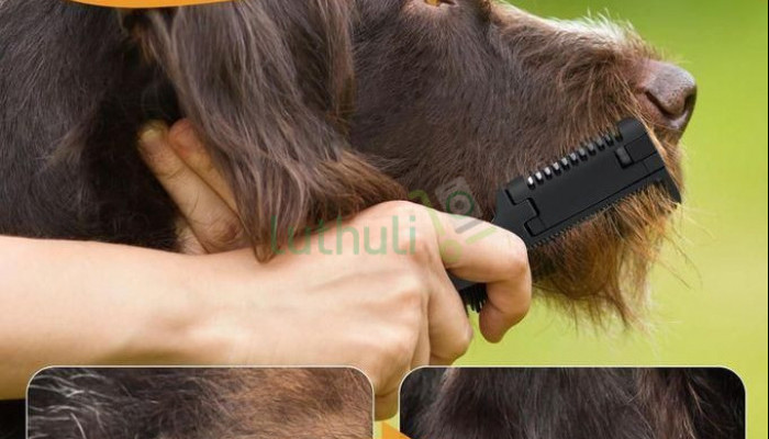 Pet Grooming Comb for Dogs and Cats