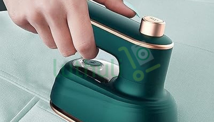 Electric handheld steam iron