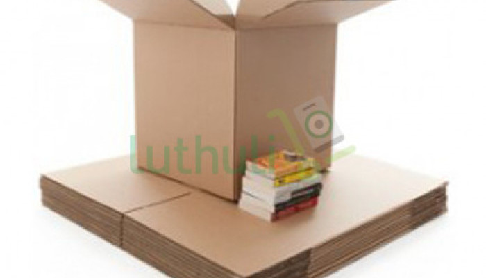 Packaging Carton