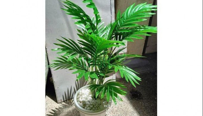 Artificial Palm Flower -vase & decor stones