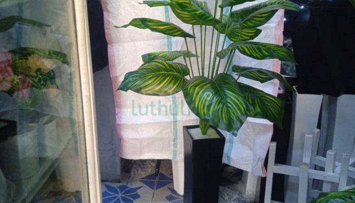 Artificial zebra plant-With a unique vase