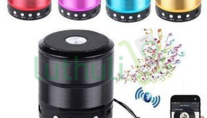 Wster Mini Bluetooth Speakers With MP3and FM